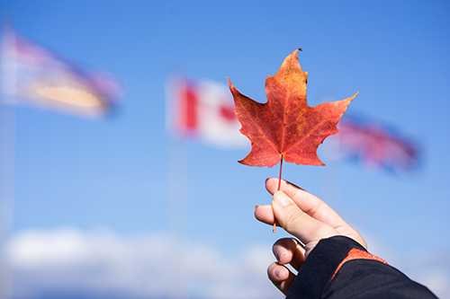 解读加拿大本科留学申请的三种方式，你适合哪种？